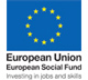 European social fund